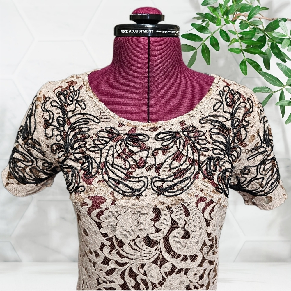 Free People Pink Beautiful Dreamer Blush Lace Tunic Dress - Picture 4 of 13